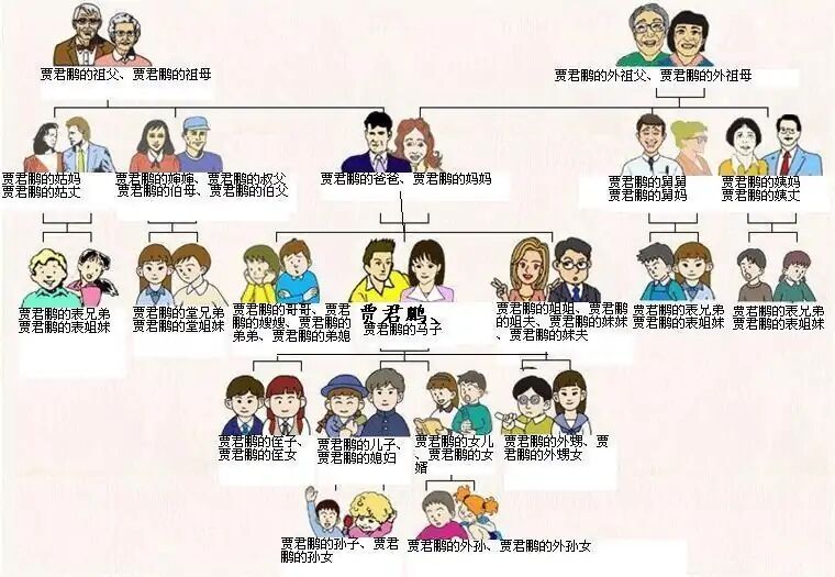 贾君鹏关系图 贴吧爆红帖子你妈喊你回家吃饭 中文网络风尚图片