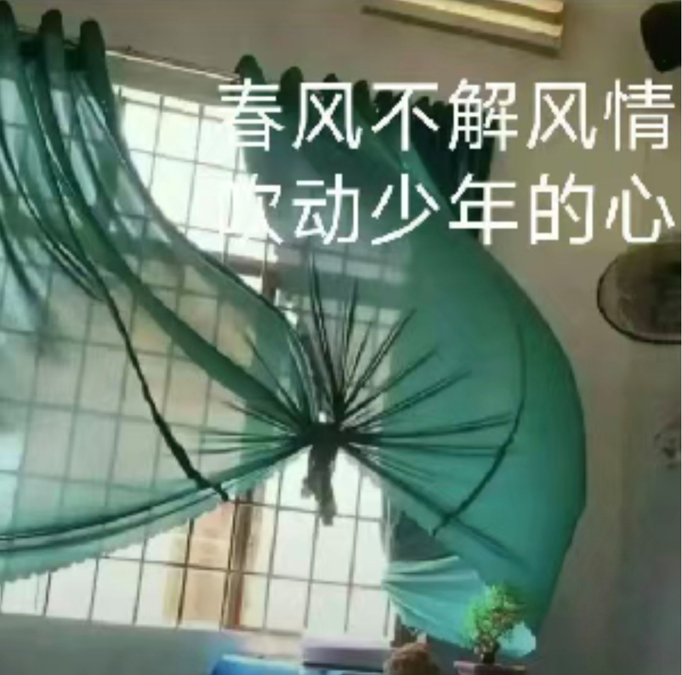 春风不解风情 吹动少年的心窗帘胸罩 中文网络风尚图片