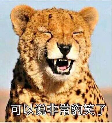 非常豹 可以说是非常豹笑了 中文网络风尚图片