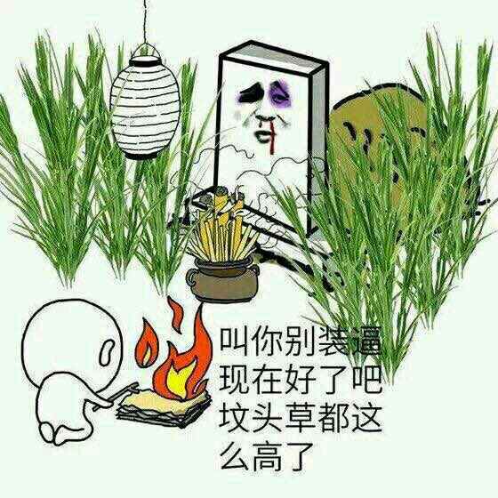 坟头草 别装逼坟头草都这么高了 中文网络风尚图片