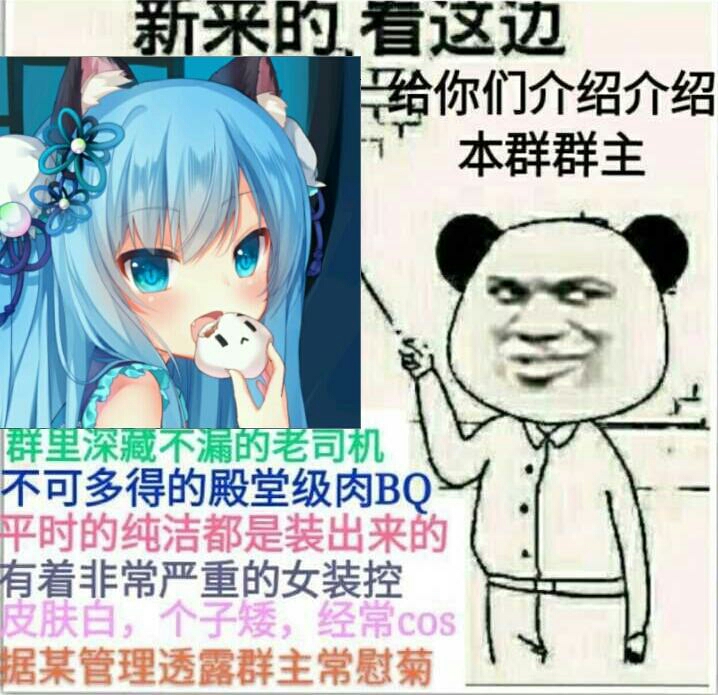 介绍群主  中文网络风尚图片