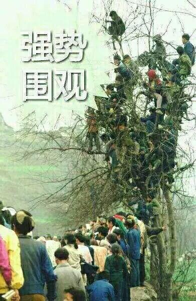 强势围观  中文网络风尚图片