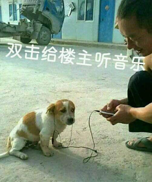 双击给楼主听音乐  中文网络风尚图片