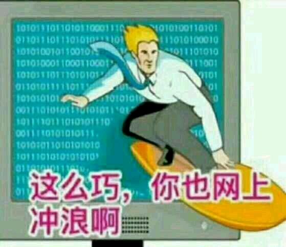 网上冲浪 这么巧你也在网上冲浪啊 中文网络风尚图片
