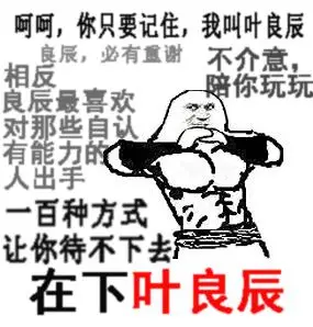 叶良辰  中文网络风尚图片