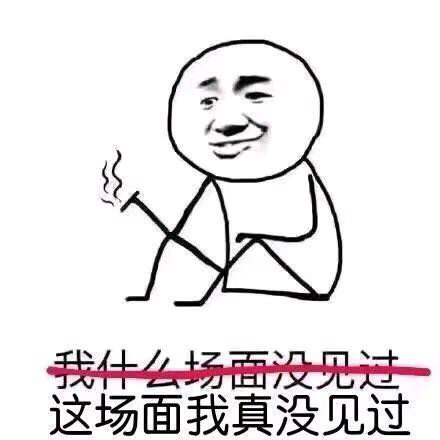 这场面我真没见过 我什么场面没见过 中文网络风尚图片