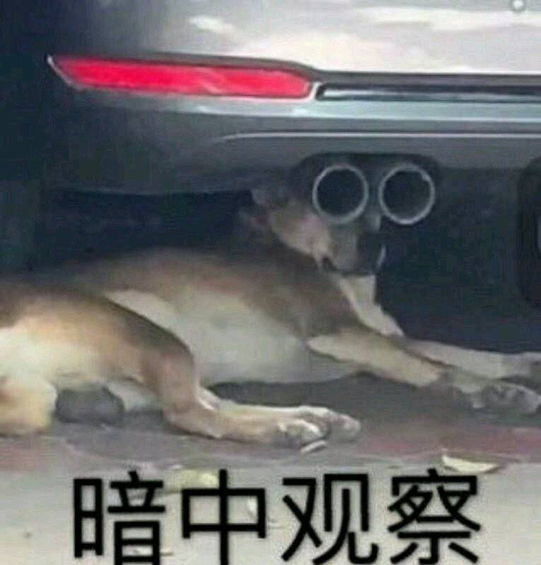 暗中观察  中文网络风尚图片
