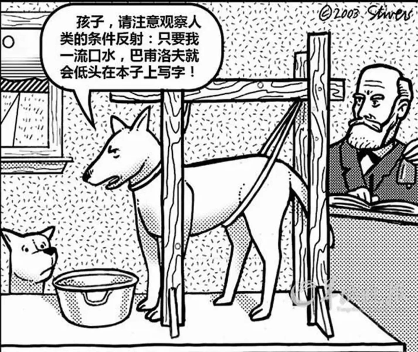 巴普洛夫 狗条件反射 中文网络风尚图片