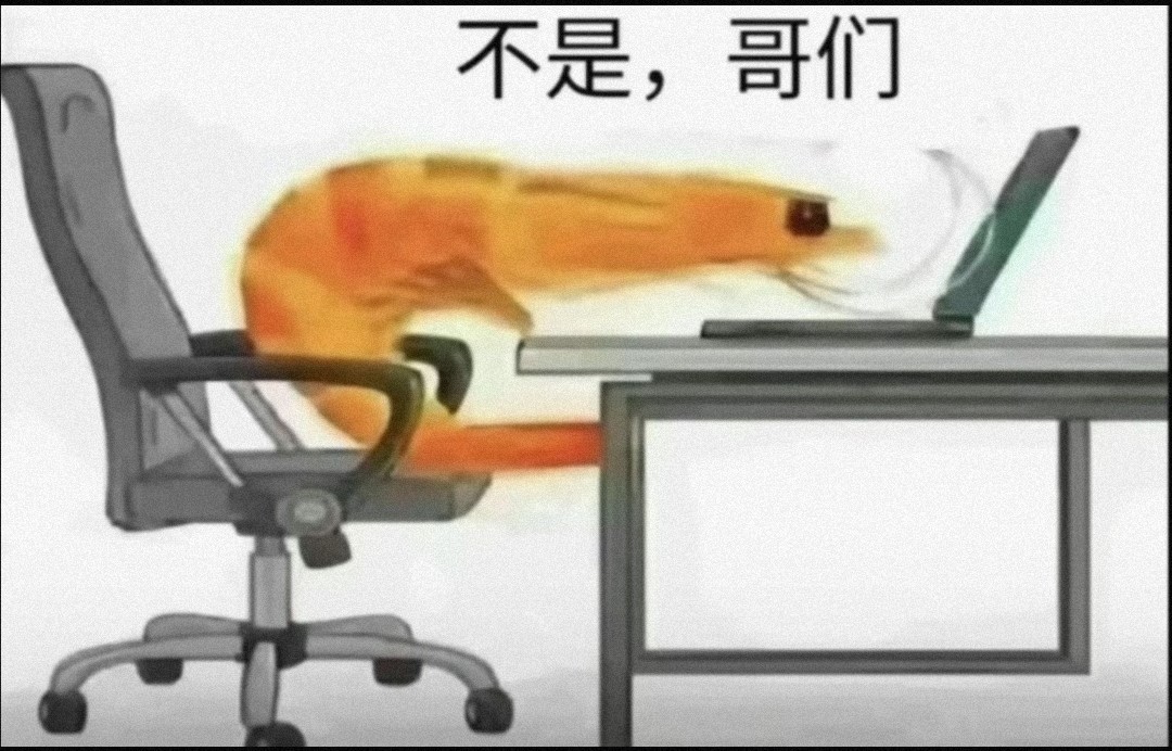不是哥们 虾弯腰虾电脑 中文网络风尚图片