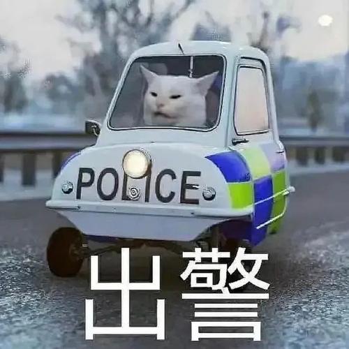 出警 猫猫警察警车 中文网络风尚图片