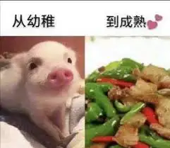 从幼稚到成熟 猪猪回锅肉红烧肉 中文网络风尚图片