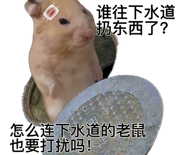 打扰 鼠鼠怎么连下水道的老鼠也要打扰吗 中文网络风尚图片