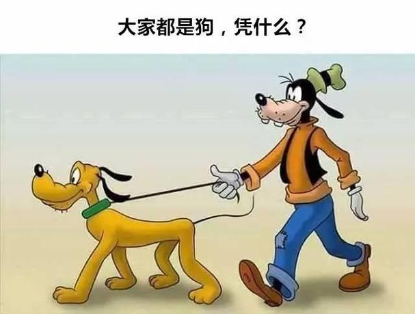 大家都是狗凭什么 高飞布鲁诺米老鼠 中文网络风尚图片
