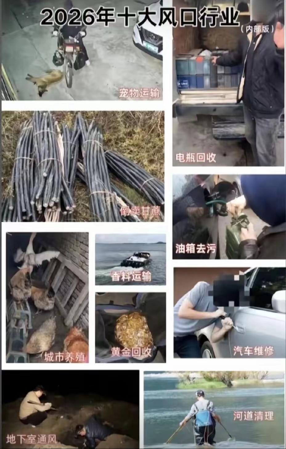 风口行业 2026风口行业内部版偷电缆偷狗偷电瓶回收 中文网络风尚图片