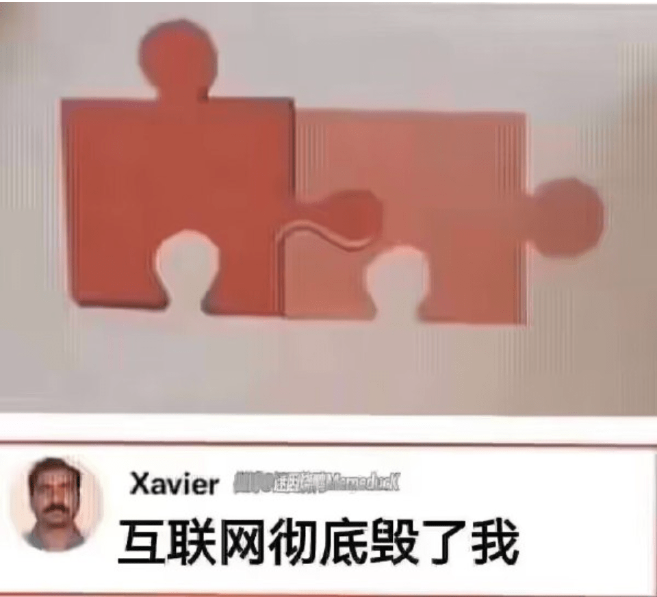 互联网彻底毁了我  中文网络风尚图片