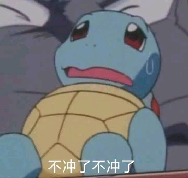 杰尼龟3 不冲了表情包 中文网络风尚图片