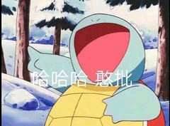杰尼龟5 哈哈哈憨批表情包 中文网络风尚图片
