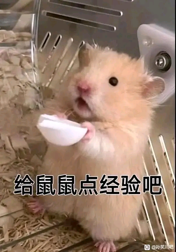 经验鼠 给鼠鼠点经验吧表情包 中文网络风尚图片
