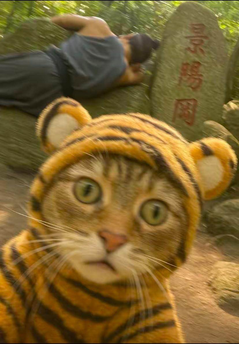 景阳冈猫 武松老虎AI自拍猫猫 中文网络风尚图片