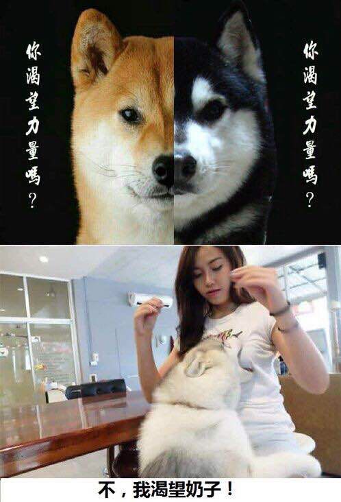 渴望  中文网络风尚图片