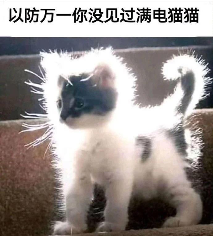 雷伊布  中文网络风尚图片