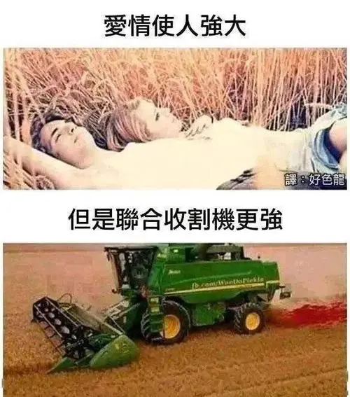 联合收割机  中文网络风尚图片