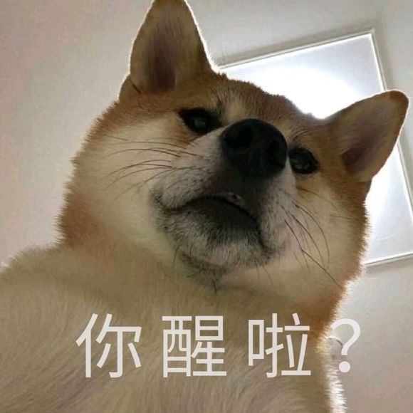 你醒啦2  中文网络风尚图片