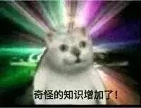 奇怪的知识2  中文网络风尚图片