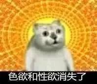 奇怪的知识3  中文网络风尚图片