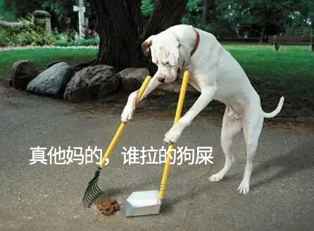 谁拉的狗屎  中文网络风尚图片
