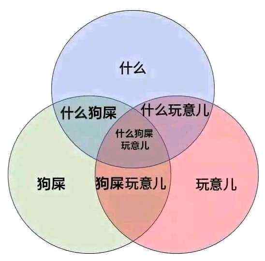 什么狗屎玩意儿  中文网络风尚图片