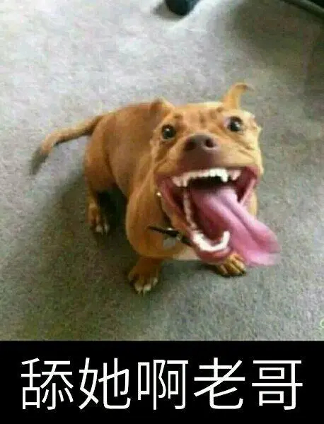 舔  中文网络风尚图片
