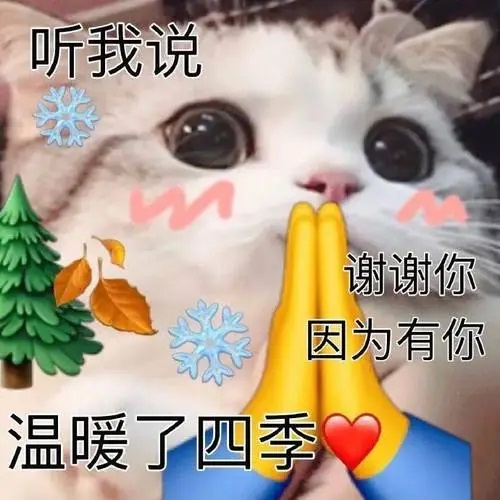 听我说谢谢你  中文网络风尚图片