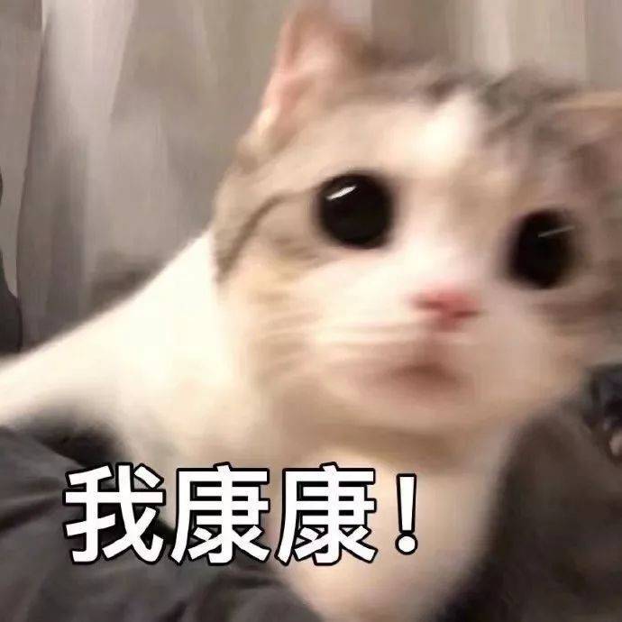 我康康  中文网络风尚图片
