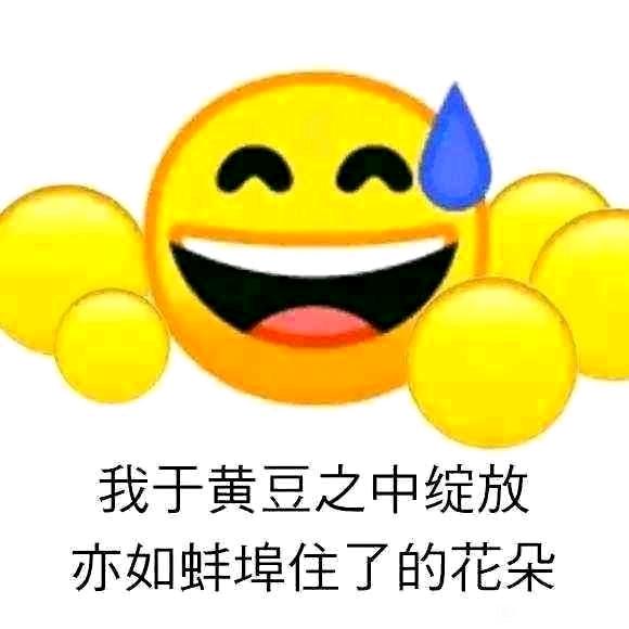 我于黄豆之中绽放  中文网络风尚图片