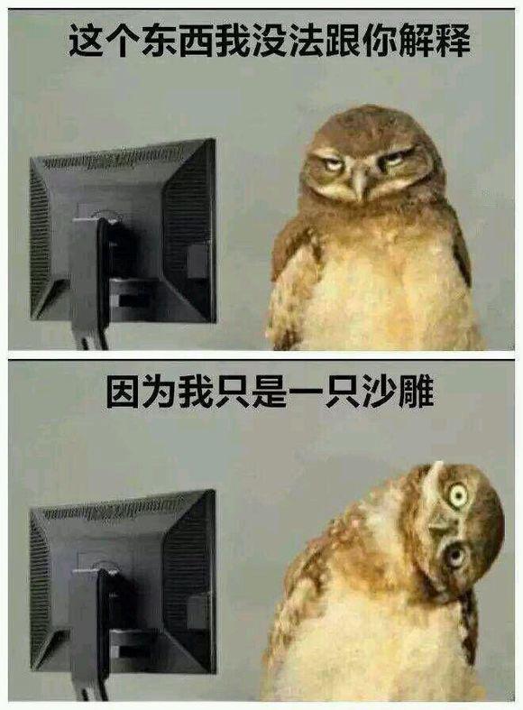 我只是一只沙雕  中文网络风尚图片