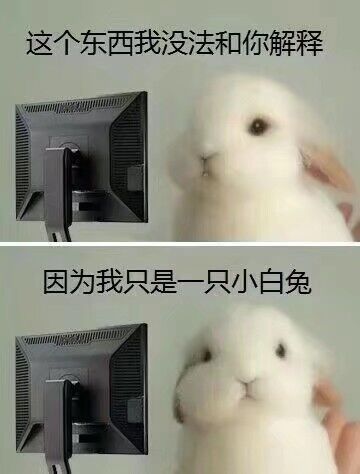我只是一只兔子  中文网络风尚图片
