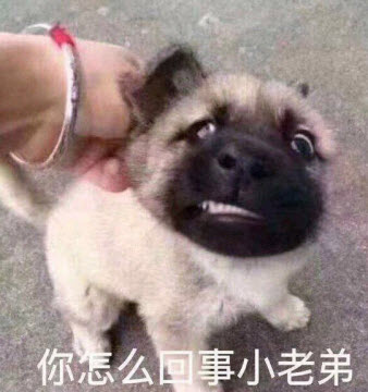 小老弟2  中文网络风尚图片