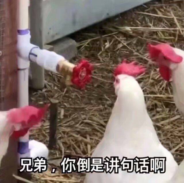 兄弟说话  中文网络风尚图片