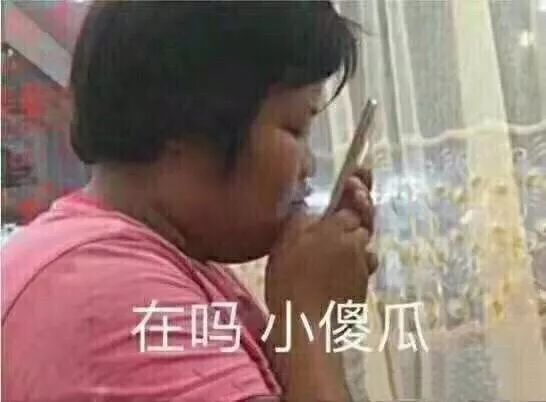 在吗小傻瓜  中文网络风尚图片
