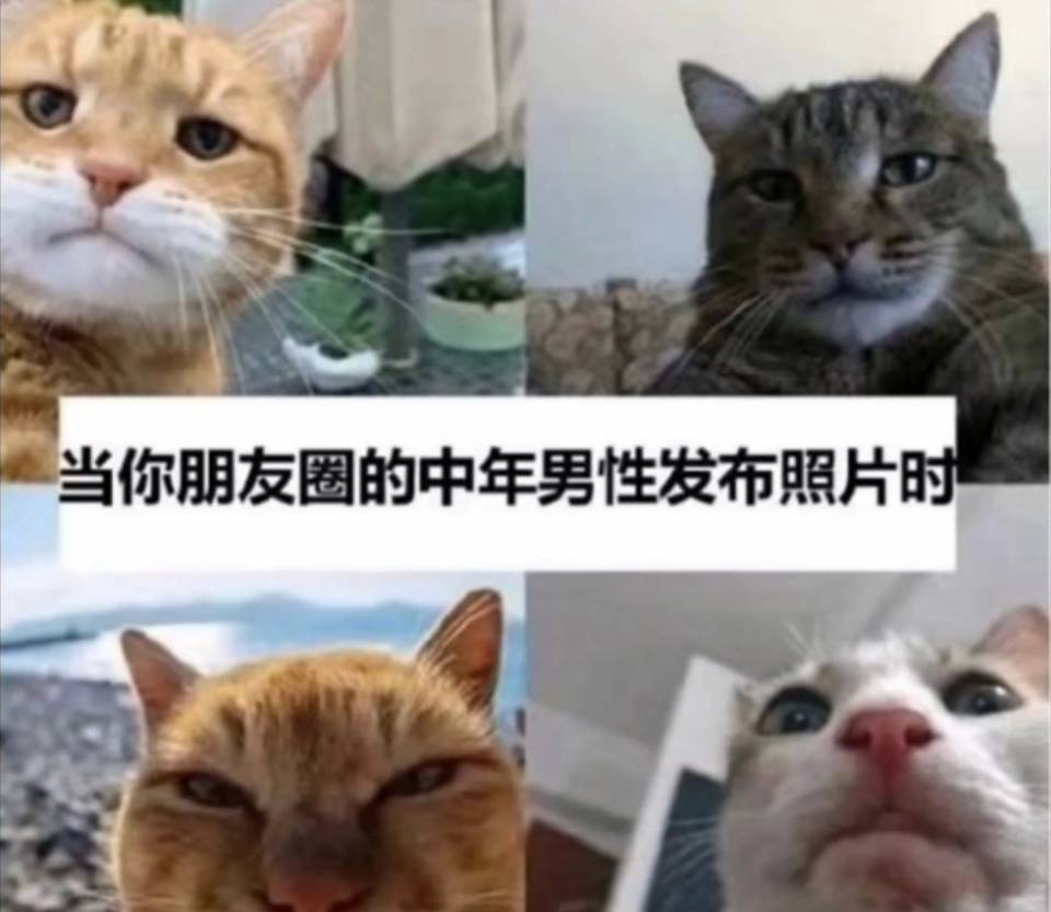 中年男  中文网络风尚图片