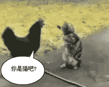 你是猫吧  中文网络风尚图片