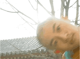 永琪 还珠格格探头 中文网络风尚图片