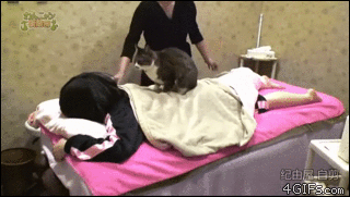 猫猫按摩  中文网络风尚图片