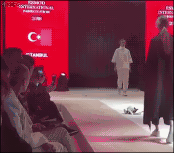 猫猫走秀  中文网络风尚图片