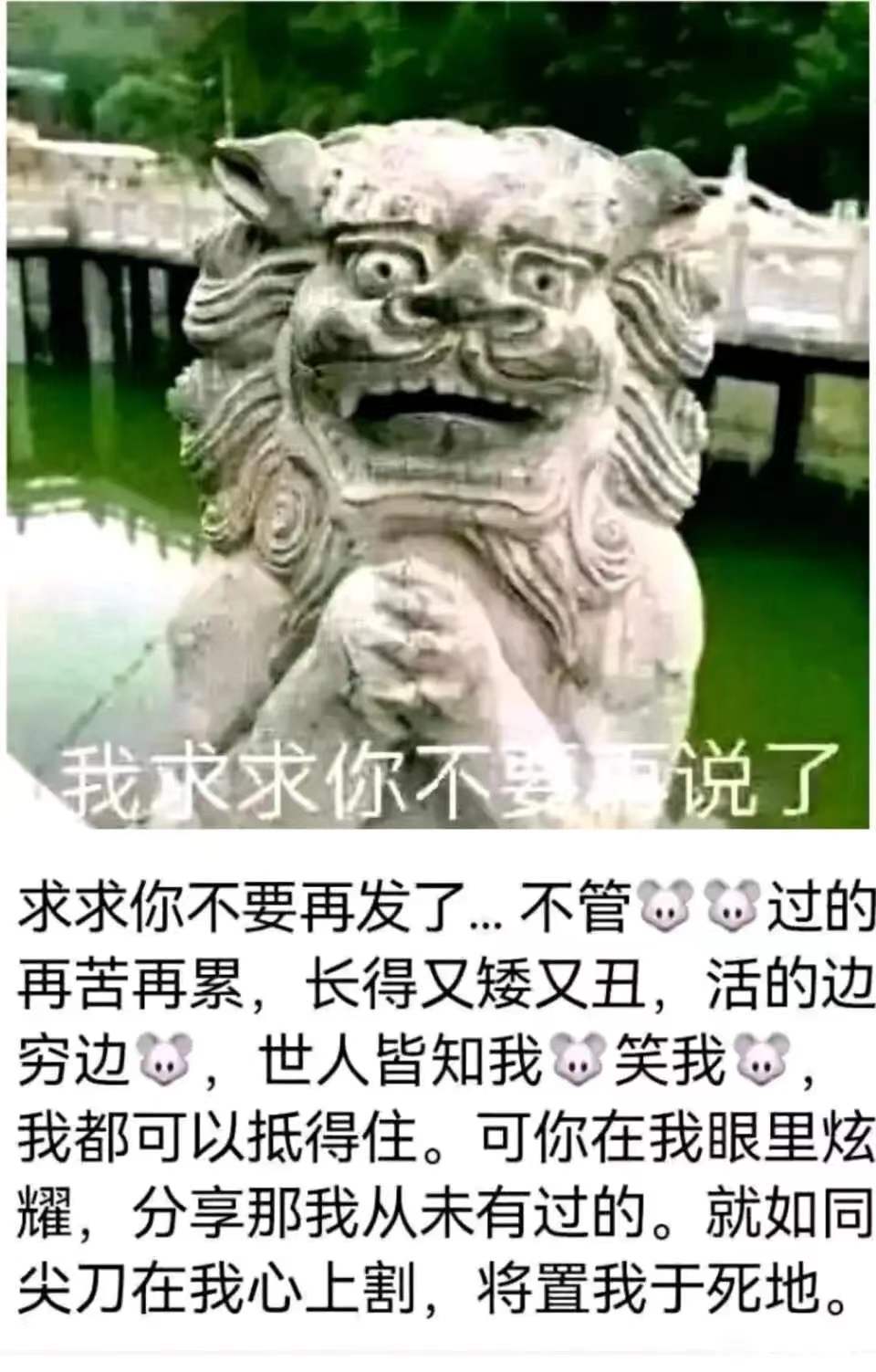 求求你不要说了  中文网络风尚图片