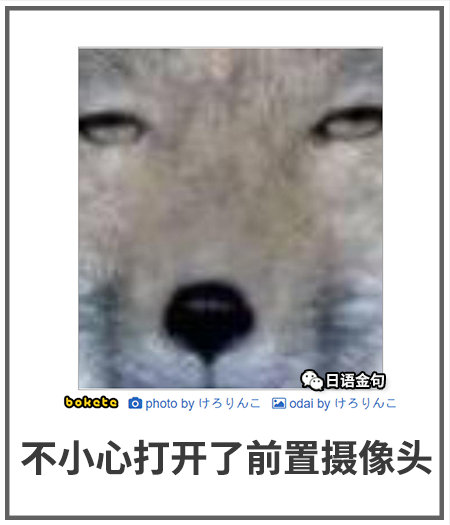 0008  中文网络风尚图片
