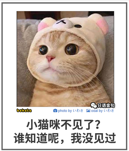 0011  中文网络风尚图片