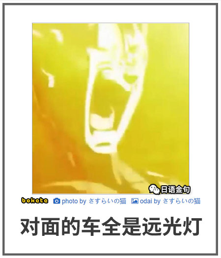 0016  中文网络风尚图片