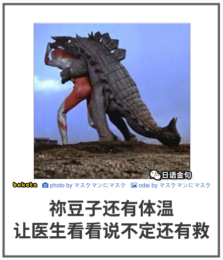 0042  中文网络风尚图片